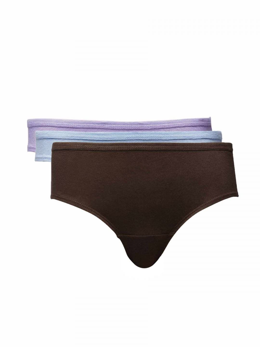 Hanes Women Pack of Three 100% Cotton Plain Hipsters
